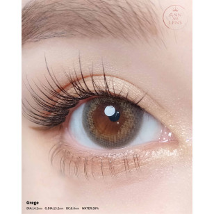 Ann365 1Day The World Taro Jeom 4選色 日拋 每盒10片